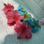 pack of 6 claw clips